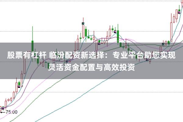 股票有杠杆 临汾配资新选择：专业平台助您实现灵活资金配置与高效投资