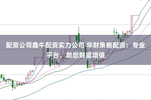 配资公司鑫牛配资实力公司 华财策略配资：专业平台，助您财富增值