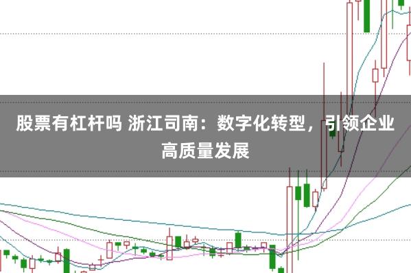 股票有杠杆吗 浙江司南：数字化转型，引领企业高质量发展