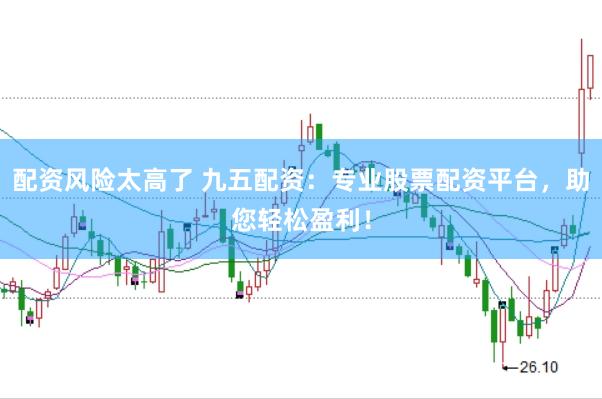 配资风险太高了 九五配资：专业股票配资平台，助您轻松盈利！