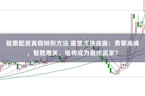 股票配资真假辨别方法 赢壁虎挑战赛:勇攀高峰,智胜难关,谁将成为最终赢家?