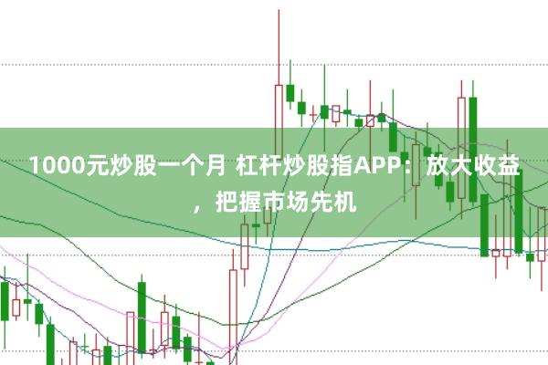 1000元炒股一个月 杠杆炒股指APP：放大收益，把握市场先机