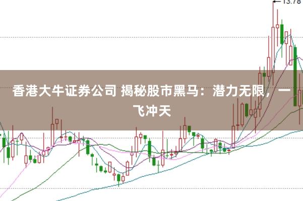 香港大牛证券公司 揭秘股市黑马:潜力无限,一飞冲天
