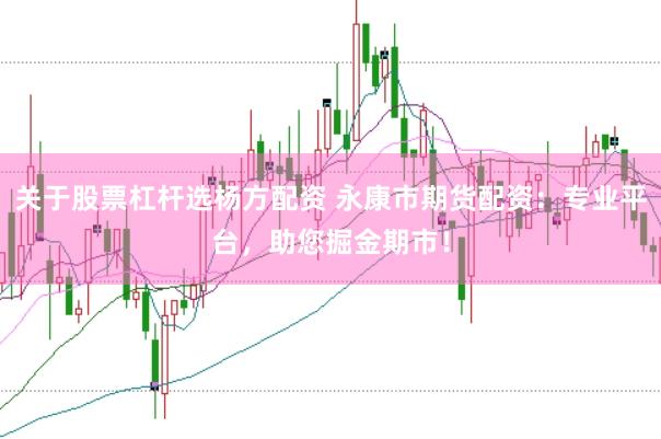 关于股票杠杆选杨方配资 永康市期货配资：专业平台，助您掘金期市！
