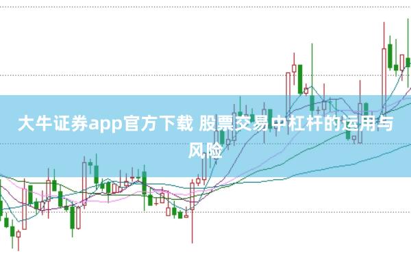 大牛证券app官方下载 股票交易中杠杆的运用与风险
