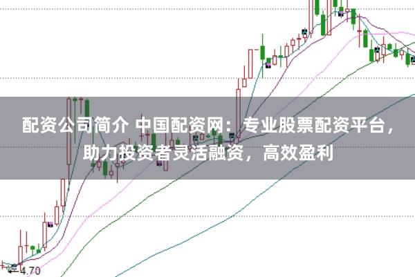 配资公司简介 中国配资网：专业股票配资平台，助力投资者灵活融资，高效盈利